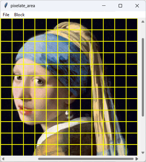 [The program pixelates the image in blocks]