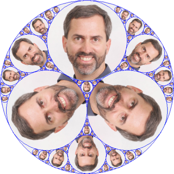 [An Apollonian circle packing fractal filled with images]