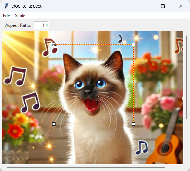 [This program lets you crop an area to a certain aspect ratio in Python and tkinter]