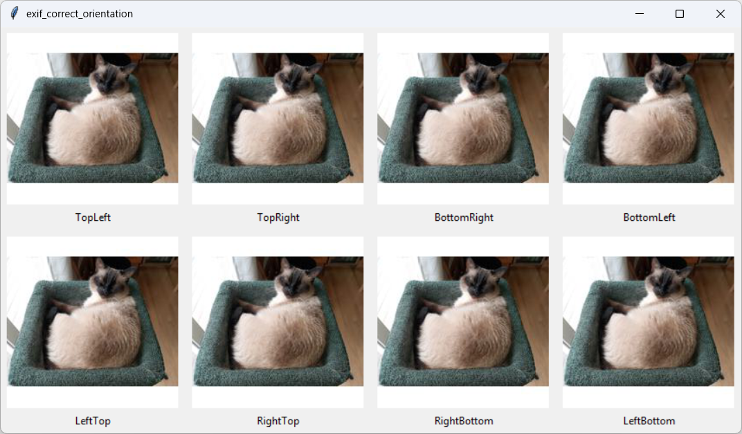 [Images with different EXIF orientations all displayed normally]