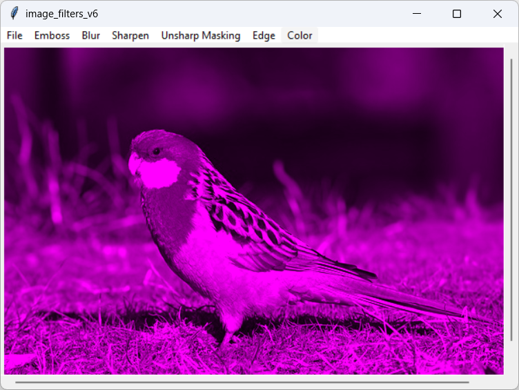 [A bird image converted to magenta color tones in Python]