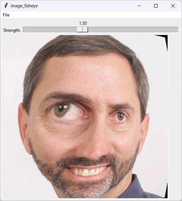[An image warped by a fisheye transformation]